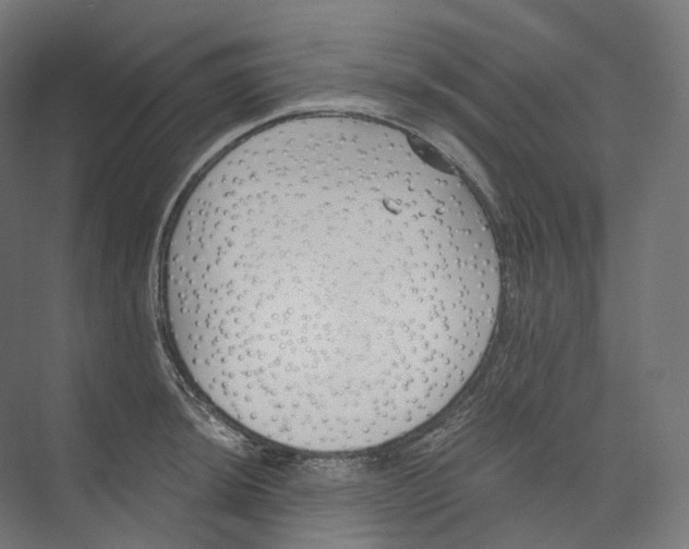 X0000073861044200609071628