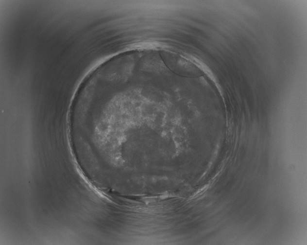 X0000073861045200609071628