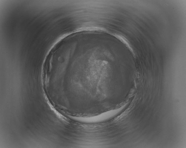 X0000073861046200609071628