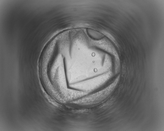 X0000073861047200609071628