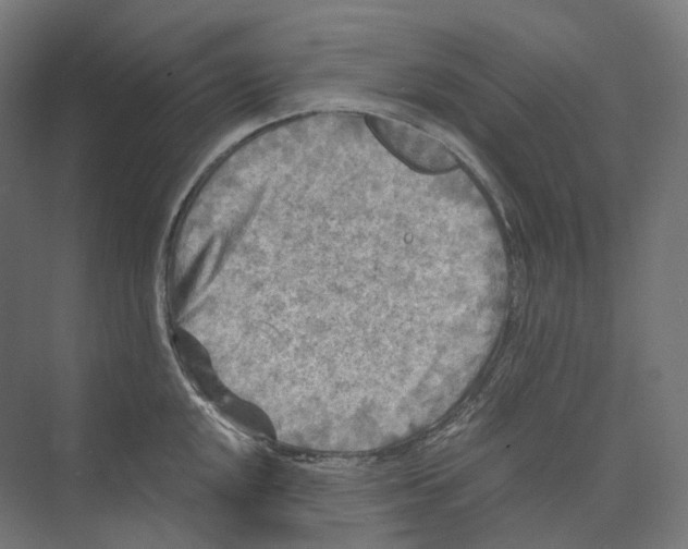 X0000073861048200609071628