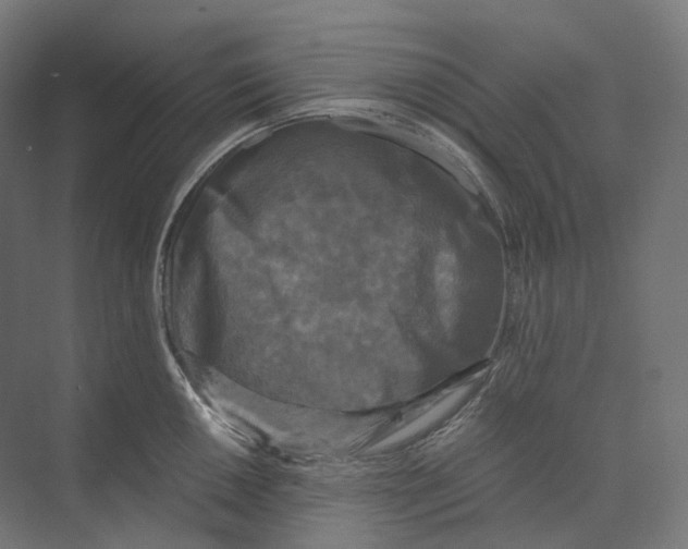 X0000073861050200609071628