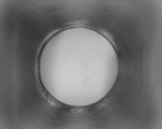 X0000073861051200609071628