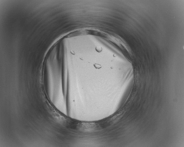 X0000073861052200609071628