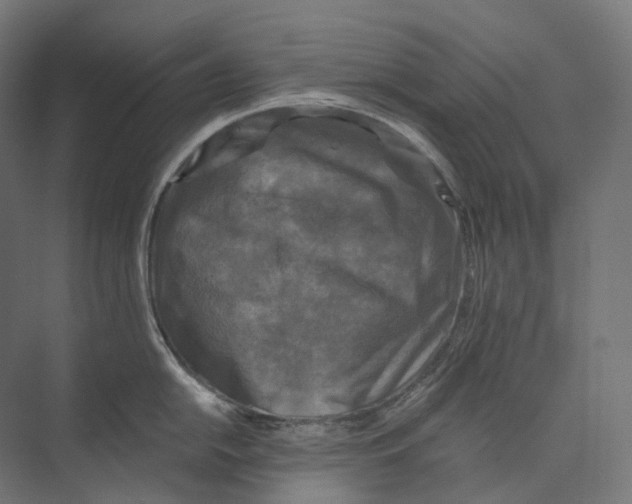 X0000073861054200609071628