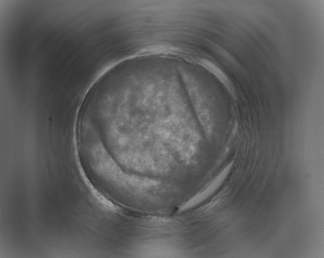 X0000073861055200609071628