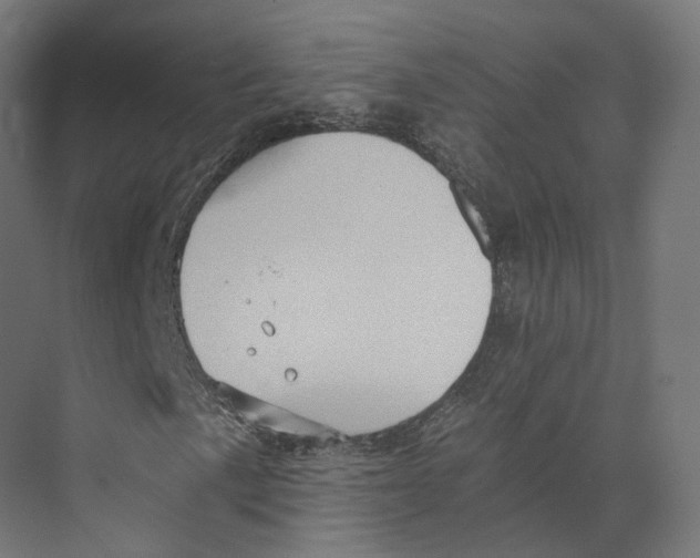 X0000073861057200609071627