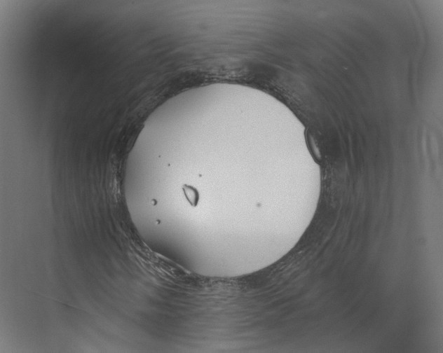 X0000073861058200609071627