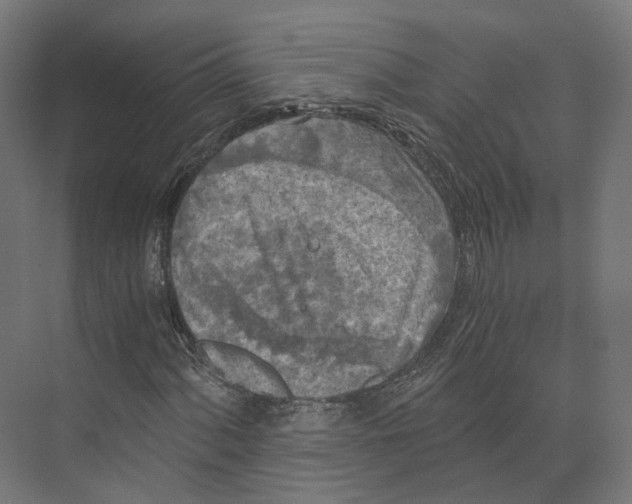 X0000073861060200609071627