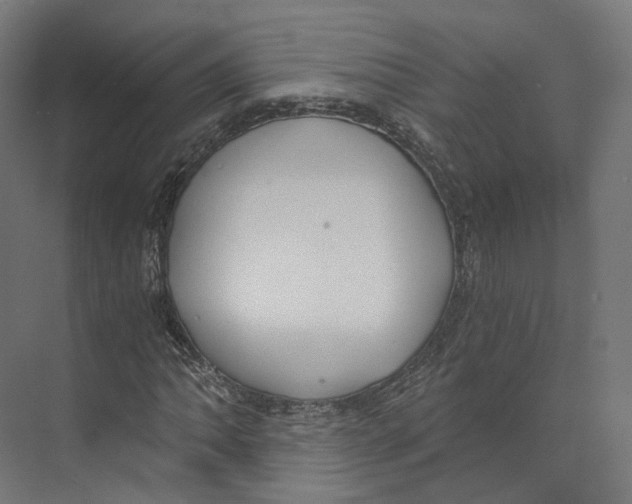 X0000073861062200609071627