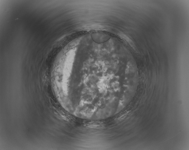 X0000073861063200609071627