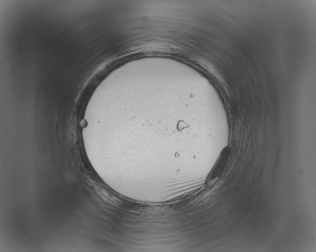 X0000073861067200609071627