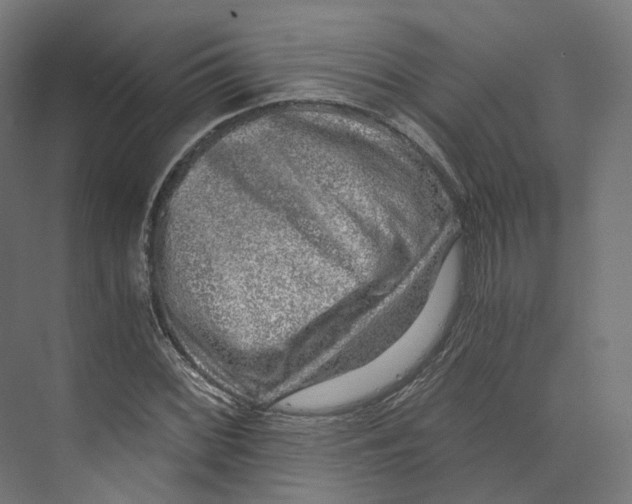 X0000073861068200609071627