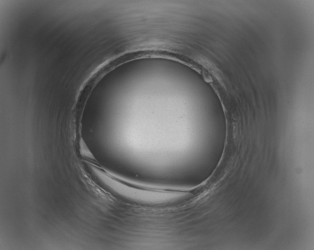 X0000073861069200609071627