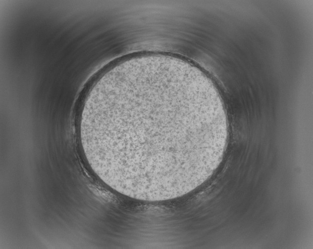 X0000073861070200609071627