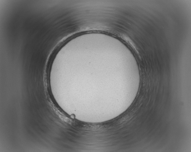 X0000073861072200609071627