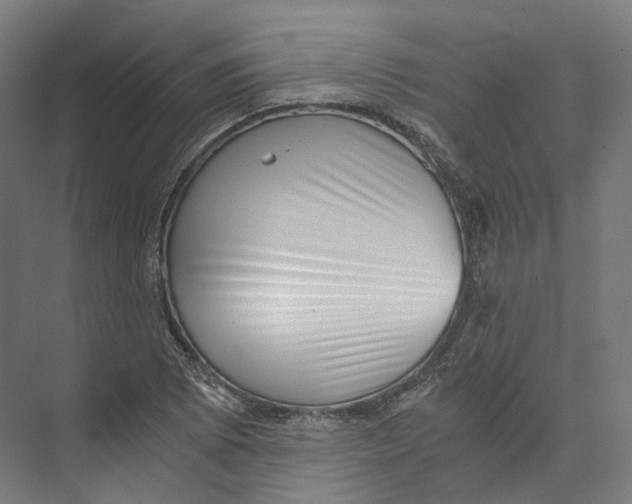 X0000073861073200609071627