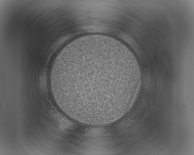 X0000073861074200609071627