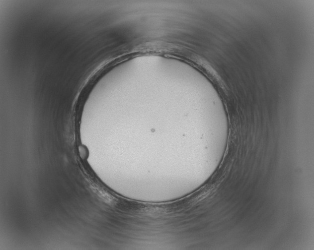 X0000073861075200609071627