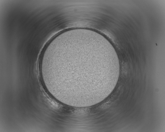 X0000073861078200609071627