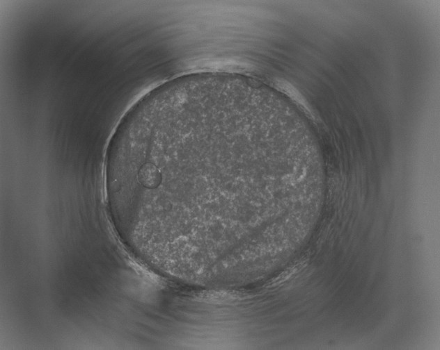 X0000073861079200609071627