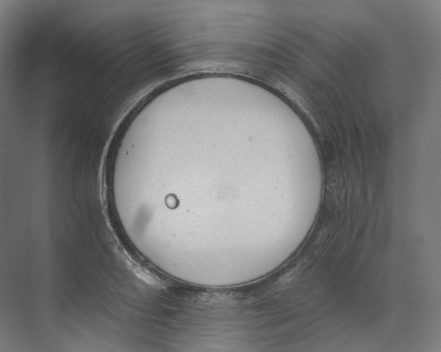 X0000073861082200609071627