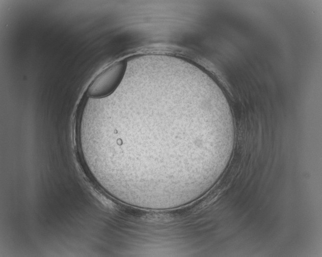 X0000073861083200609071627