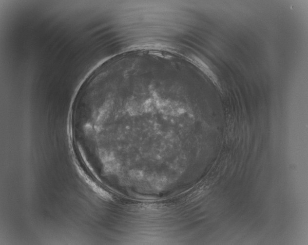 X0000073861084200609071627