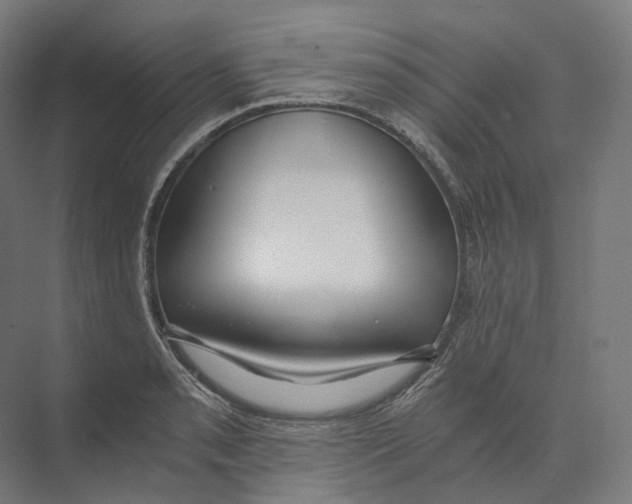 X0000073861085200609071627