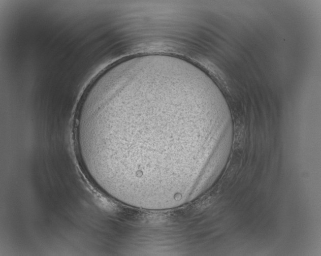 X0000073861086200609071627