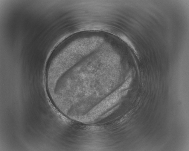 X0000073861088200609071627