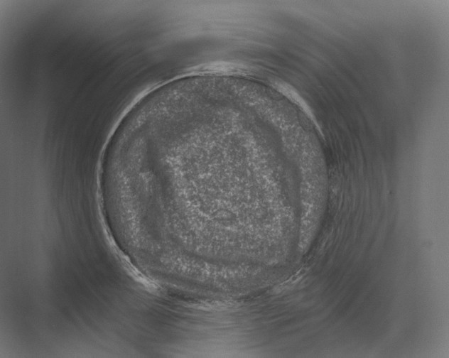 X0000073861091200609071627