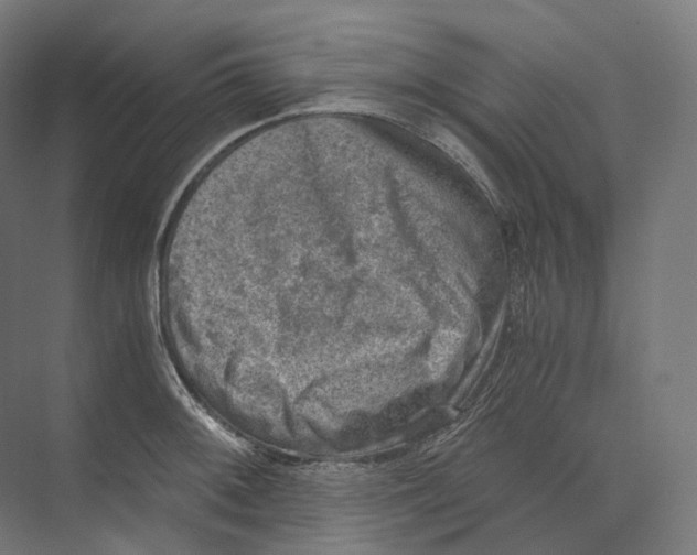 X0000073861092200609071627