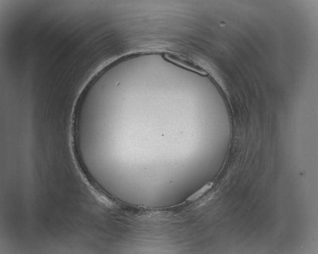 X0000073861093200609071627