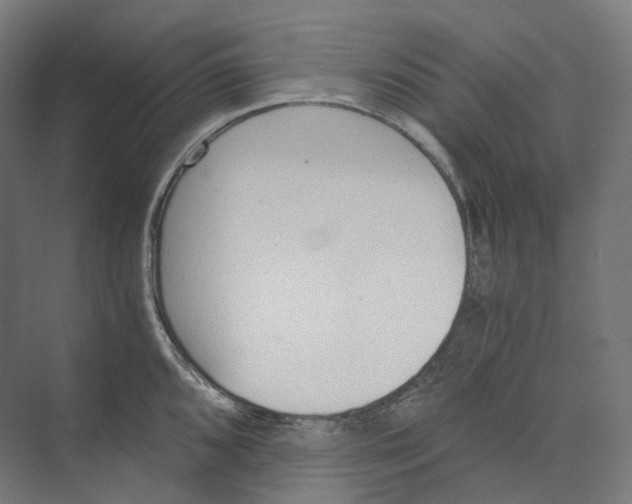 X0000073861096200609071627