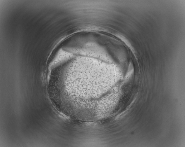 X0000073861097200609071627