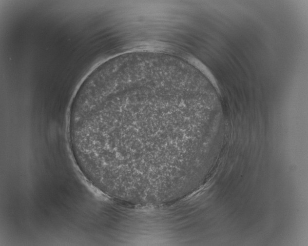 X0000073861099200609071626