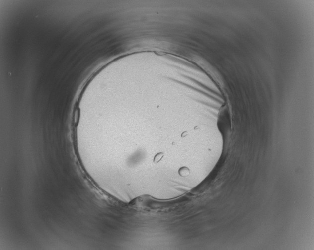 X0000073861104200609071626