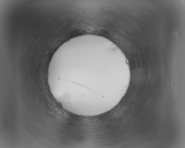 X0000073861105200609071626