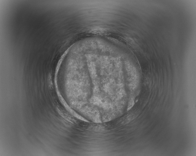 X0000073861106200609071626