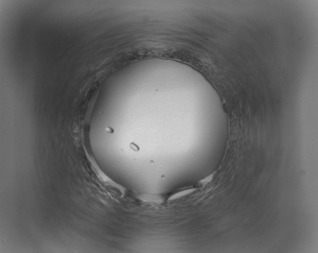 X0000073861109200609071626