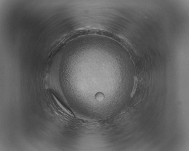 X0000073861110200609071626