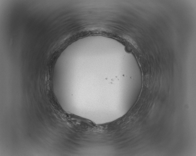 X0000073861111200609071626