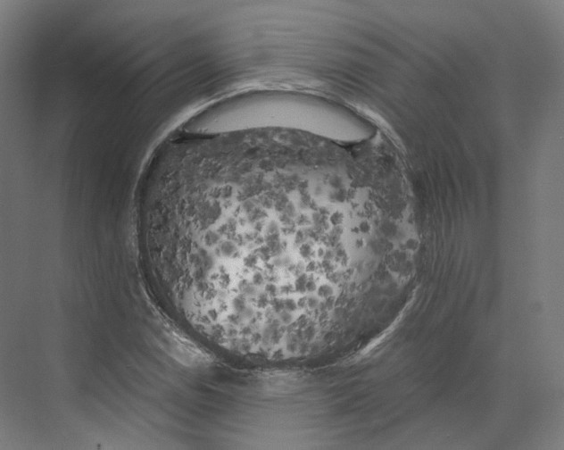 X0000073861114200609071626