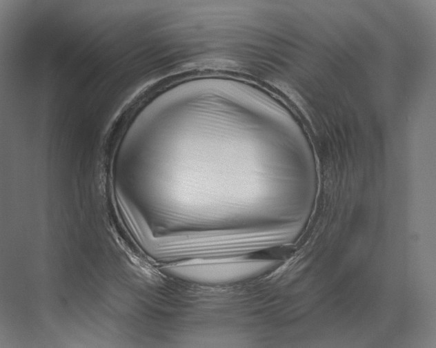 X0000073861115200609071626