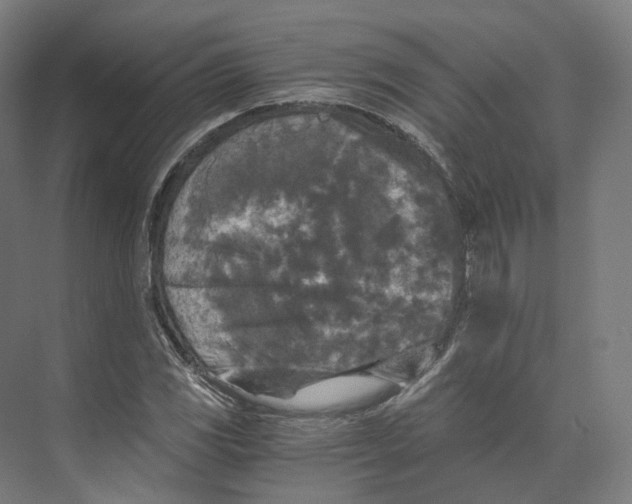 X0000073861117200609071626