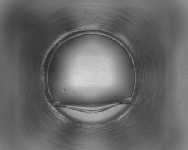 X0000073861118200609071626