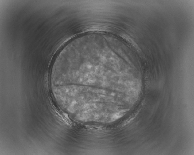 X0000073861121200609071626