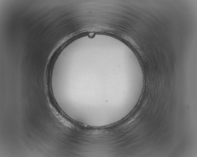 X0000073861122200609071626