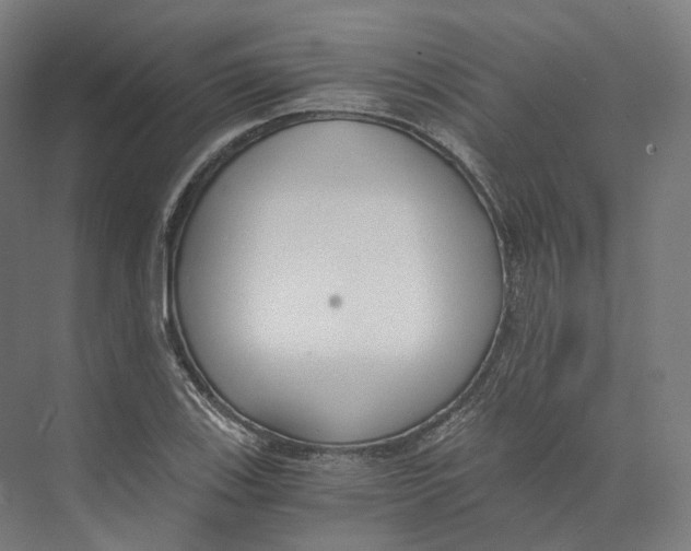 X0000073861123200609071626